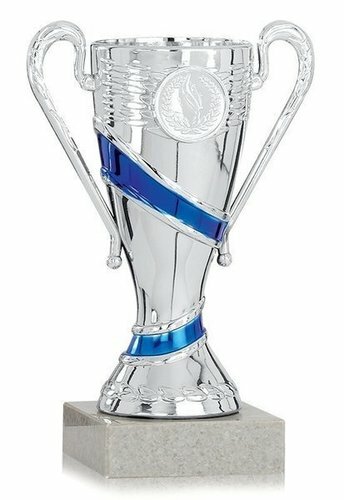 Cup329 0711