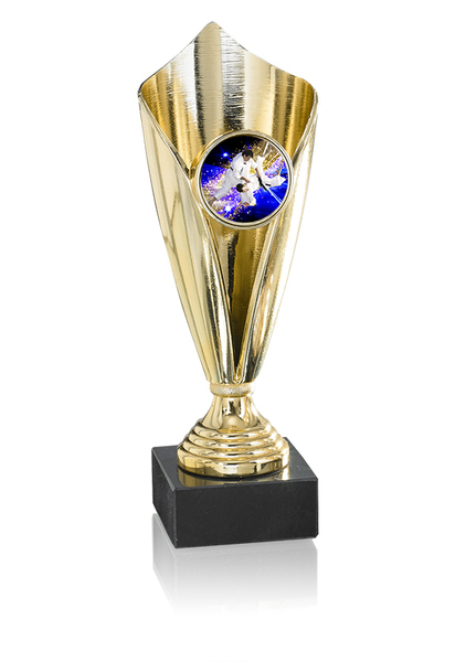 Cup321 0741