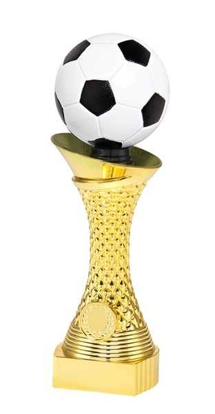 Cup332 football