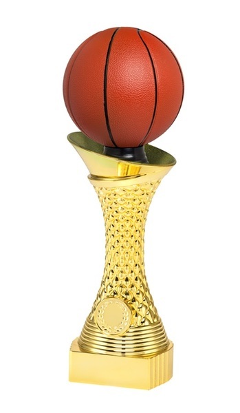 Cup330 basketball biemans