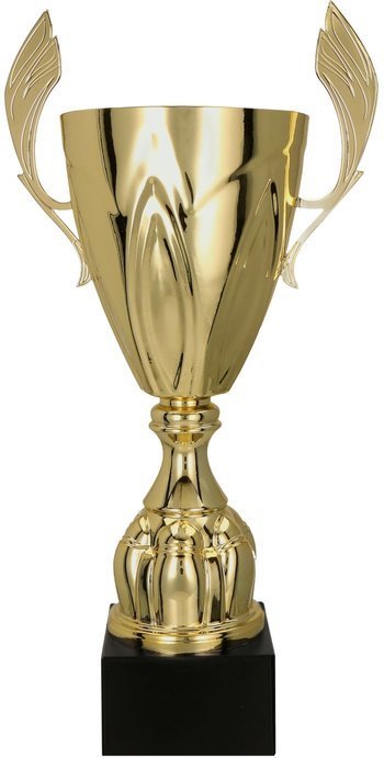 Cup307 4126