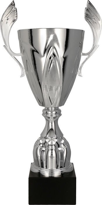 Cup308 4127