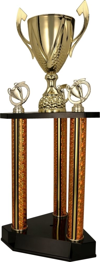 Cup254 3131