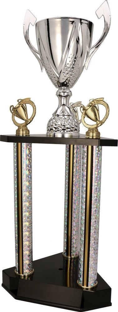 Cup255 3132