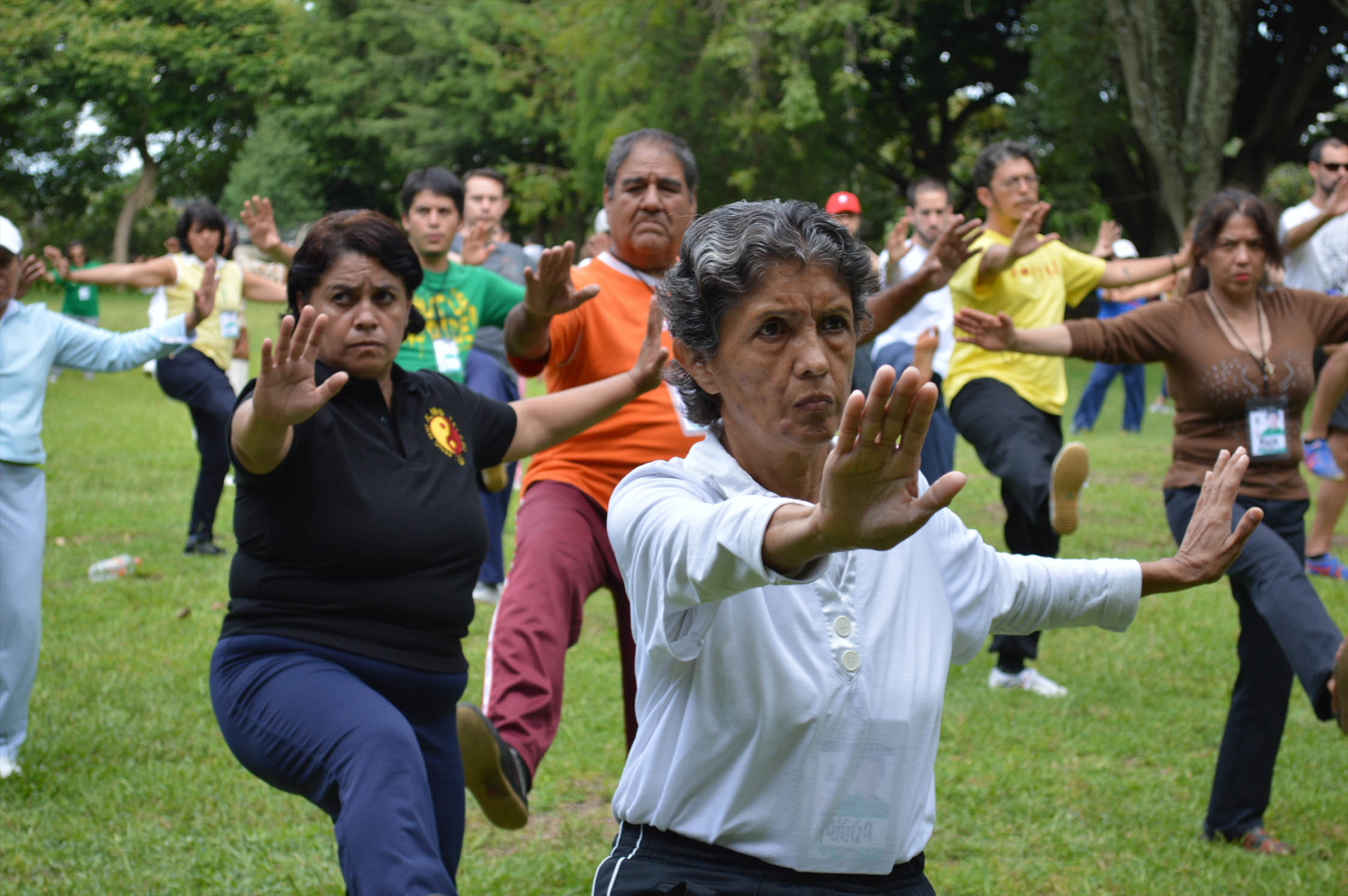 Retiro Tai Chi & Qi Gong para la Salud y Longevidad en Habitación Compartida
