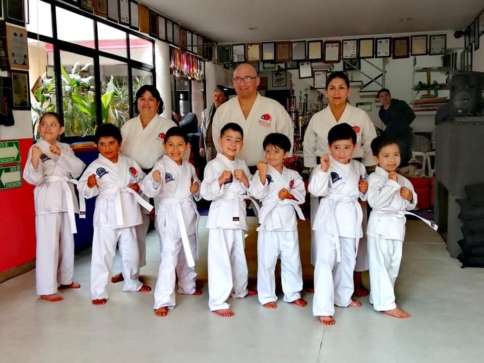 Curso Manejo de Niños en las Artes Marciales Curso Manejo de Niños en las Artes Marciales