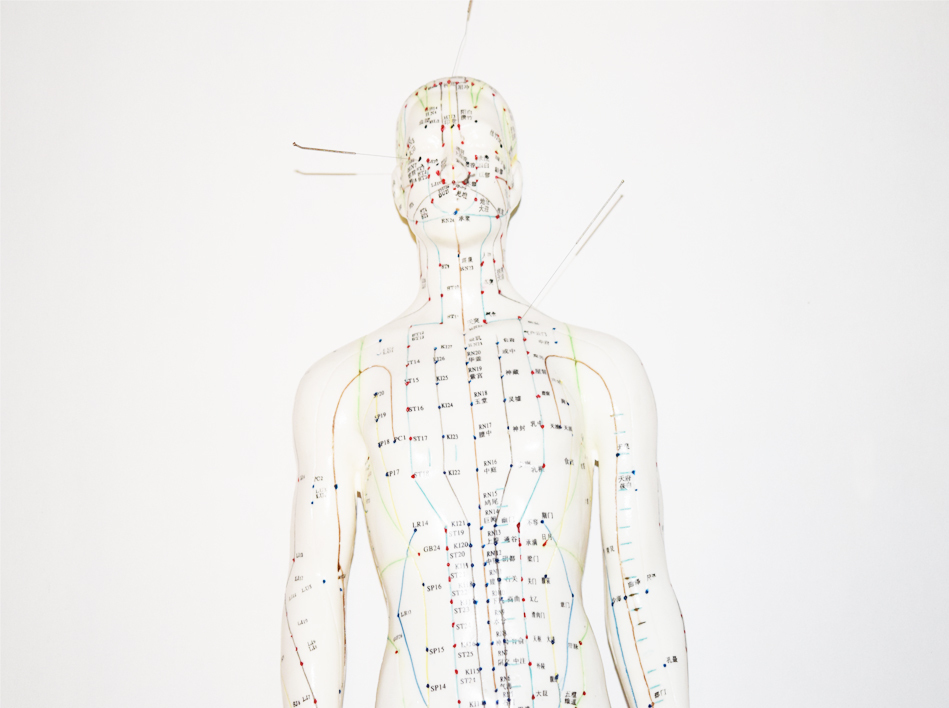 Maniquí Para Acupuntura