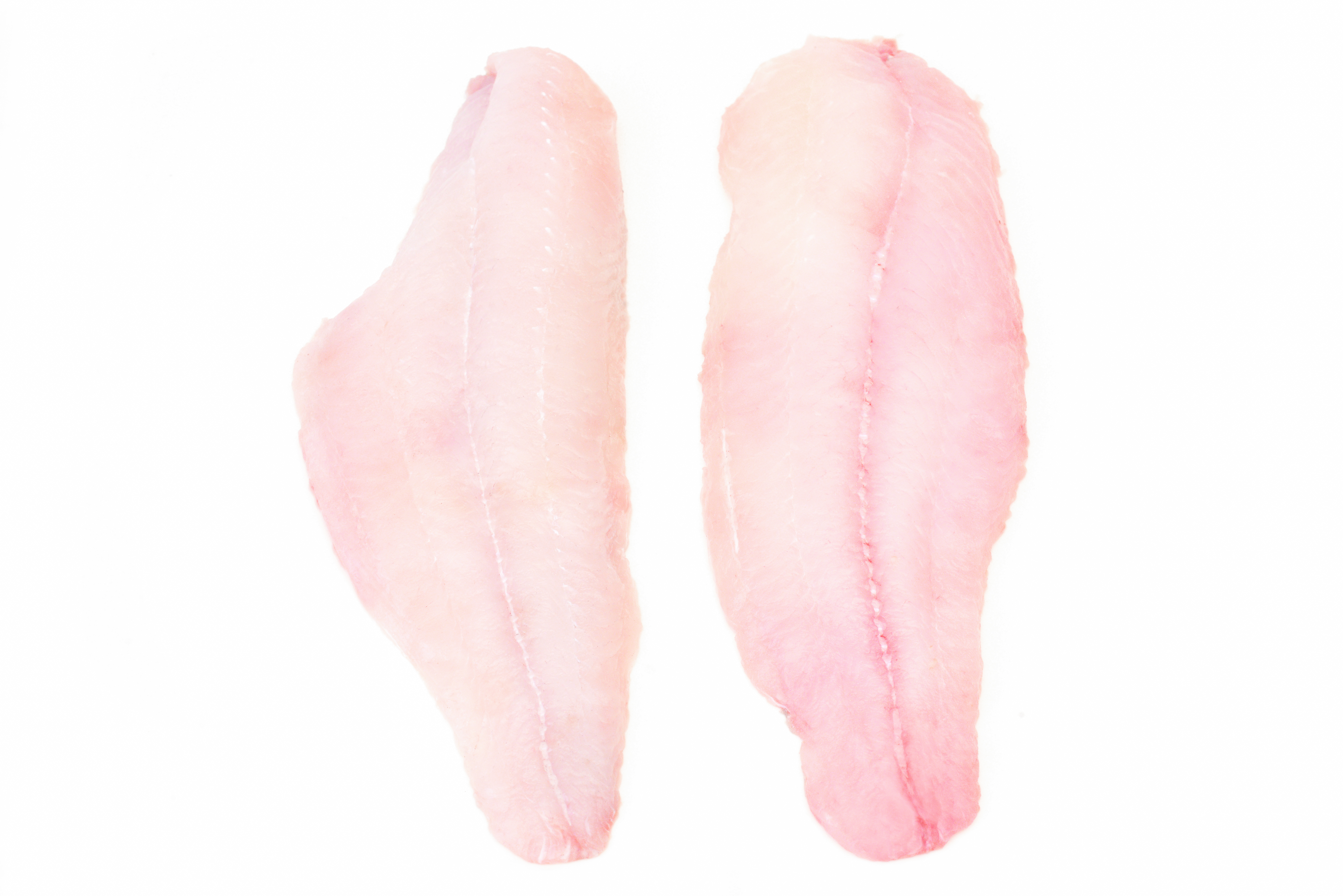 Des Allemandes Catfish (Certified Wild Louisiana) Fish Store LA