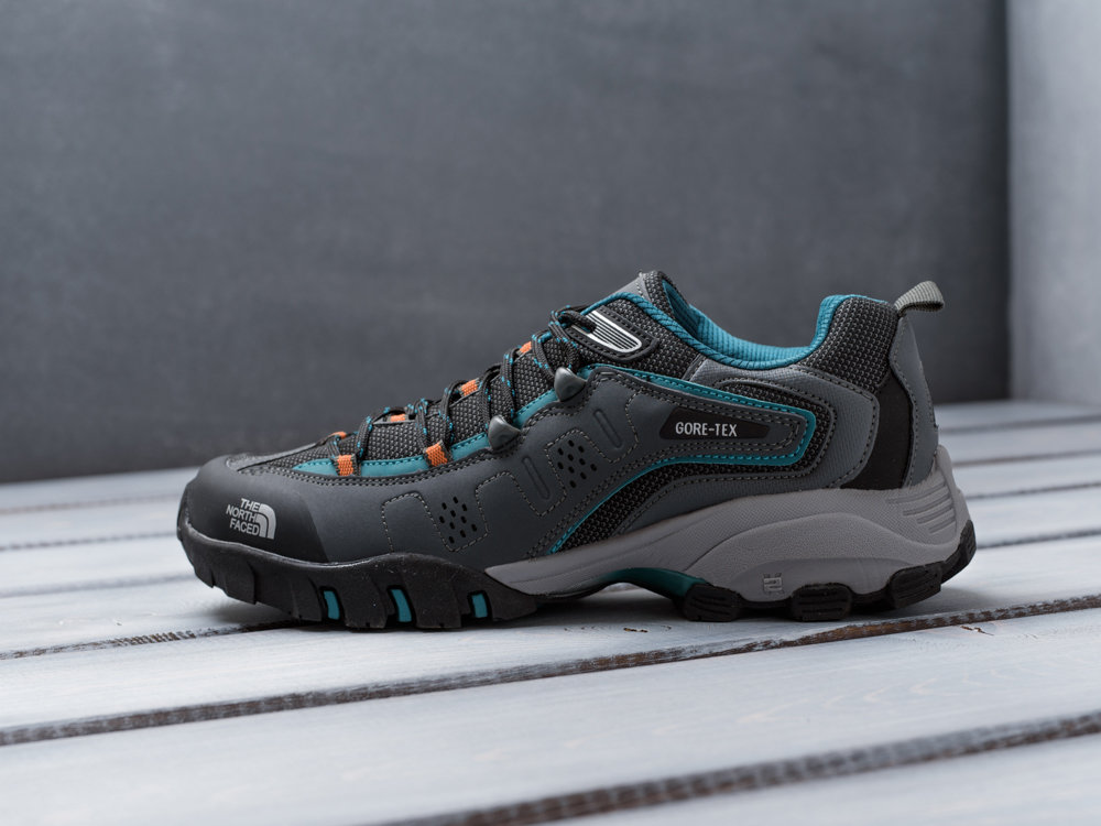 Кроссовки The North Face 9601