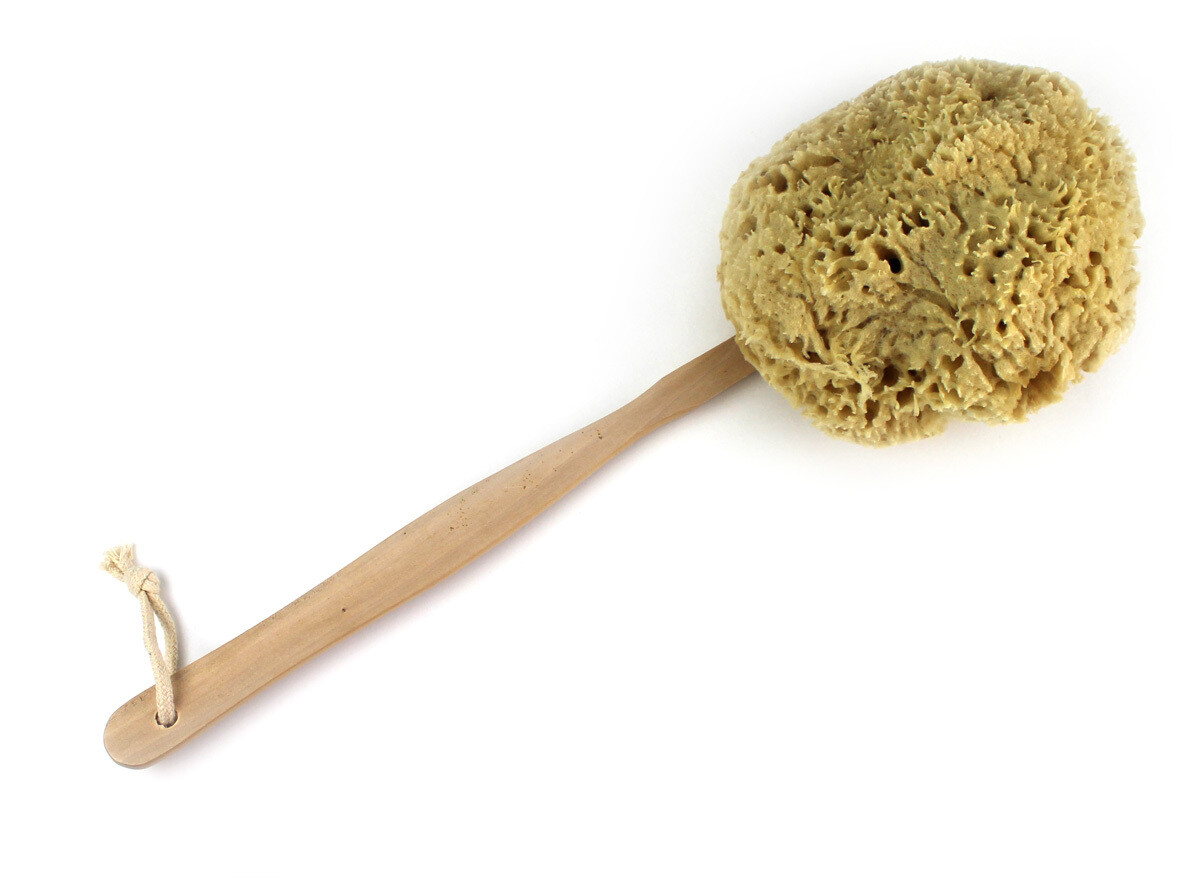 Wool Sponge on a Stick Wool Sponge on a Stick