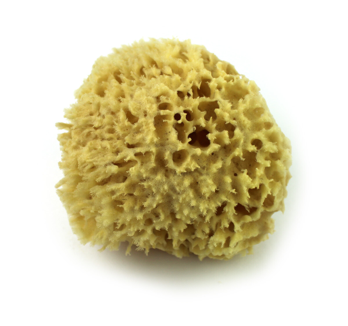 Wool Bathing Form Wool Bathing Form
