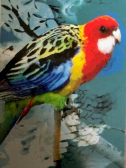 Tea Towel - Parrot - Microfibre & Made in Australia - A lovely gift to take or send overseas Tea Towel - Parrot - Microfibre & Made in Australia - A lovely gift to take or send overseas