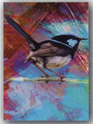 Tea Towel - Blue Wren - Microfibre & made in Australia - A lovely gift to take or send overseas
