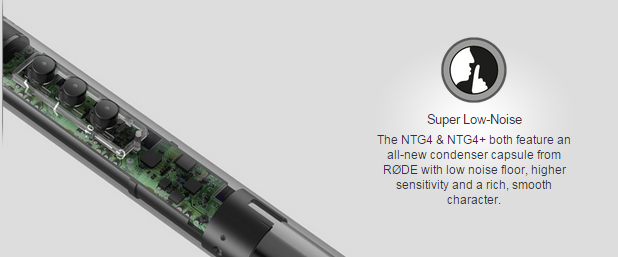 Rode NTG4 / NTG4+ 拍攝咪 (Directional Condenser Microphone)