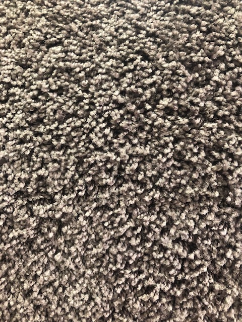 Carpet - Spring Fling 100407