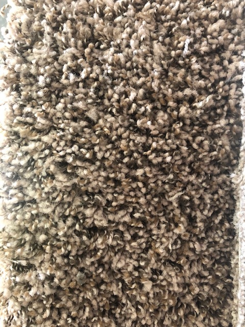 Carpet - Empire Stardust 100440