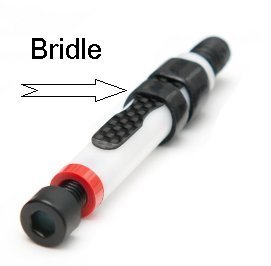 Bridle