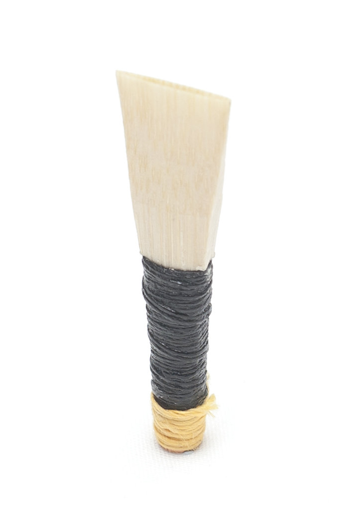 chanter reed
