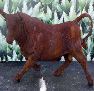 Rumpus Rusty Bull Rumpus Rusty Bull