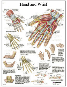 Hand & Handled (3B)