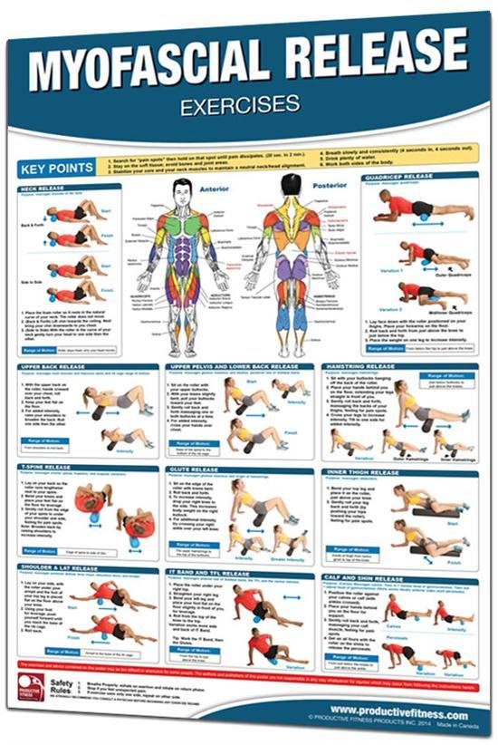 Pilates & Trigger Roll