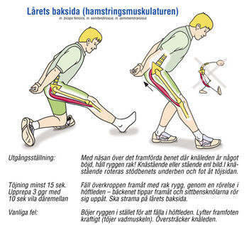 Stretching Planscher på Svenska, set med 4 st A4 eller A2 storlek