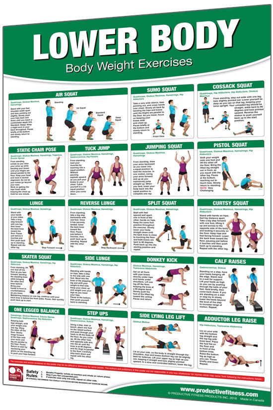 Body Weight Lower Body