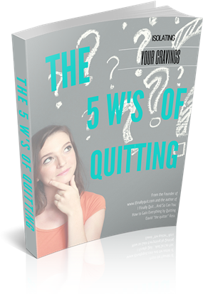 5 W's and What the *&%@ Worksheet (17 page download)