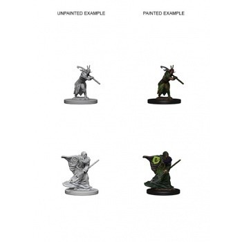 D&D Nolzur's Marvelous Miniatures - Elf Male Druid D&D Nolzur's Marvelous Miniatures - Elf Male Druid