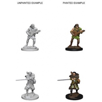 D&D Nolzur's Marvelous Miniatures - Human Male Bard WZK72632