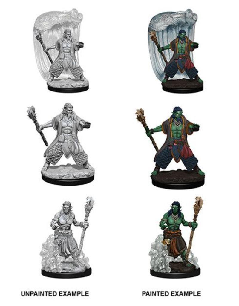 D&D Nolzur's Marvelous Miniatures - Water Genasi Male Druid WZK73337