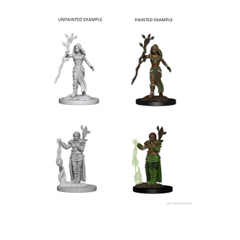 D&D Nolzur's Marvelous Miniatures - Human Female Druid D&D Nolzur's Marvelous Miniatures - Human Female Druid