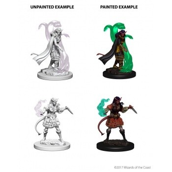 D&D Nolzur's Marvelous Miniatures - Tiefling Female Sorcerer D&D Nolzur's Marvelous Miniatures - Tiefling Female Sorcerer
