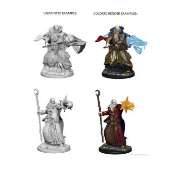 D&D Nolzur's Marvelous Miniatures - Human Male Wizard WZK72618
