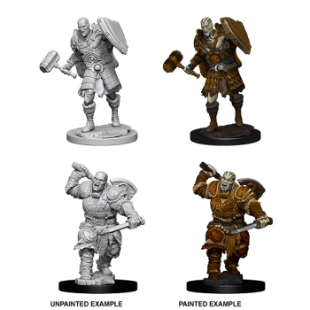 D&D Nolzur's Marvelous Miniatures - Male Goliath Fighter WZK73541