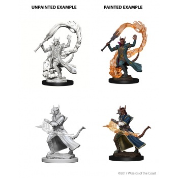 D&D Nolzur's Marvelous Miniatures - Tiefling Male Sorcerer WZK73201