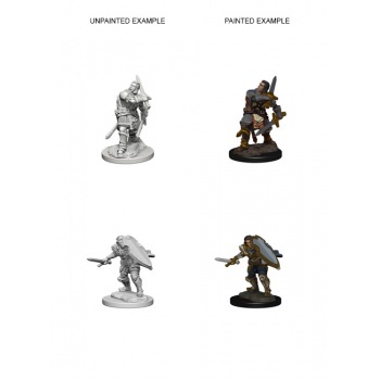 D&D Nolzur's Marvelous Miniatures - Human Male Paladin WZK72629