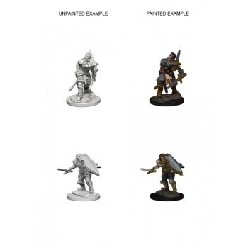 D&D Nolzur's Marvelous Miniatures - Human Male Paladin D&D Nolzur's Marvelous Miniatures - Human Male Paladin