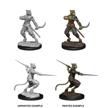 D&D Nolzur's Marvelous Miniatures - Male Tabaxi Rogue WZK73540