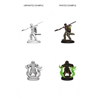 D&D Nolzur's Marvelous Miniatures - Human Male Druid WZK72639