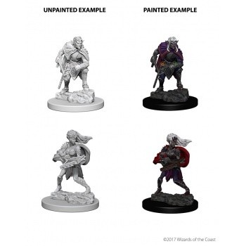 D&D Nolzur's Marvelous Miniatures - Drow D&D Nolzur's Marvelous Miniatures - Drow