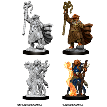 D&D Nolzur's Marvelous Miniatures - Female Dragonborn Sorcerer D&D Nolzur's Marvelous Miniatures - Female Dragonborn Sorcerer