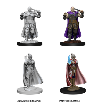 D&D Nolzur's Marvelous Miniatures - Human Ranger & Moon Elf Sorcerer D&D Nolzur's Marvelous Miniatures - Human Ranger & Moon Elf Sorcerer