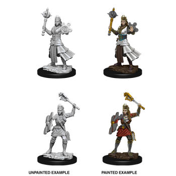 D&D Nolzur's Marvelous Miniatures - Female Human Cleric D&D Nolzur's Marvelous Miniatures - Female Human Cleric