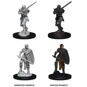 D&D Nolzur's Marvelous Miniatures - Female Human Fighter D&D Nolzur's Marvelous Miniatures - Female Human Fighter