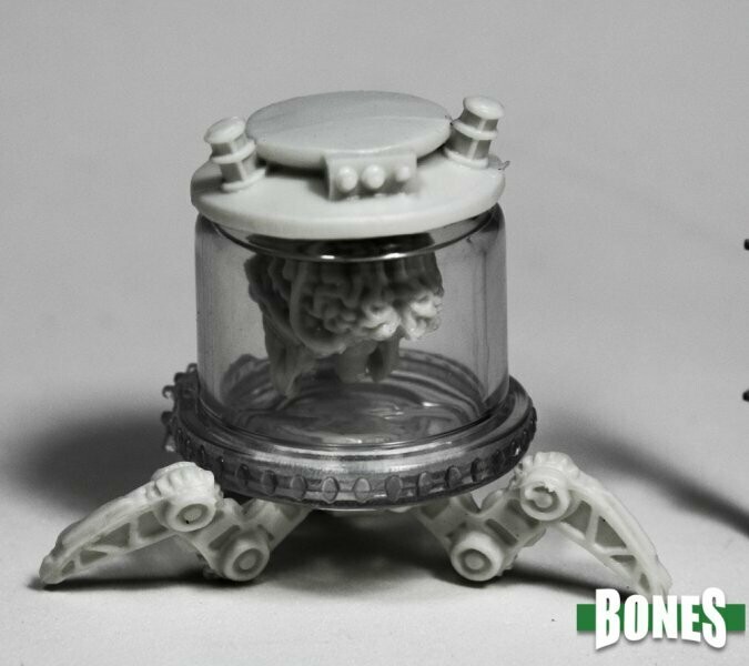 Brain In a Jar - Reaper Bones Brain In a Jar - Reaper Bones
