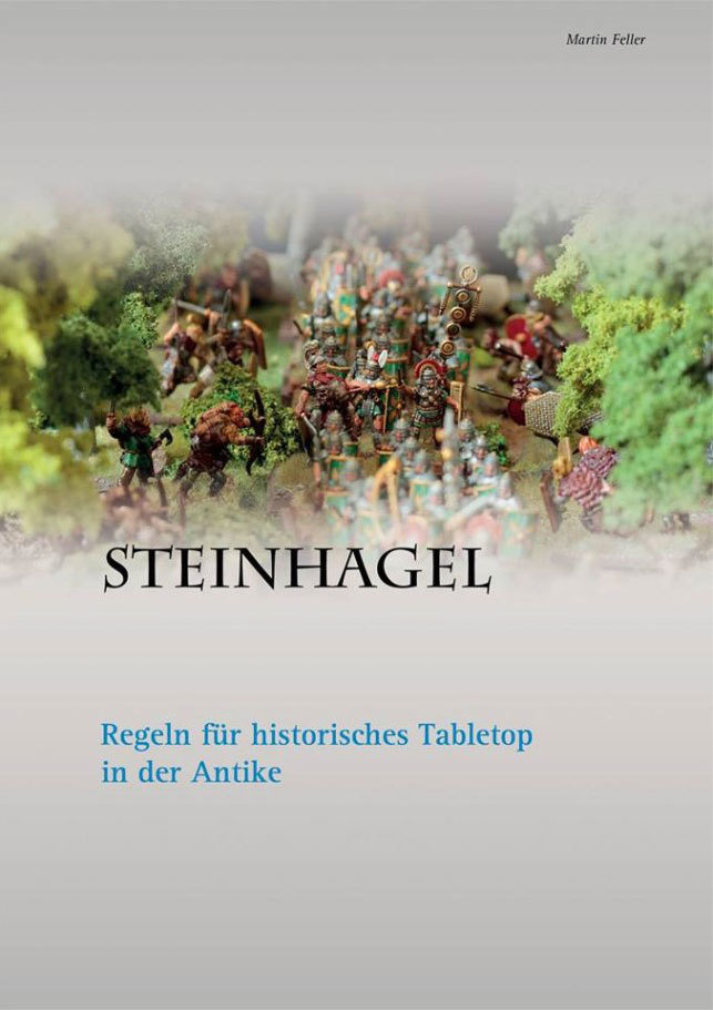 Steinhagel Regelbuch - Martin Feller 77348