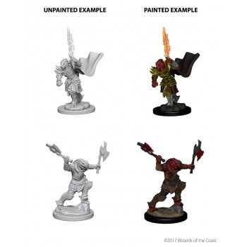 D&D Nolzur's Marvelous Miniatures - Dragonborn Female Fighter D&D Nolzur's Marvelous Miniatures - Dragonborn Female Fighter
