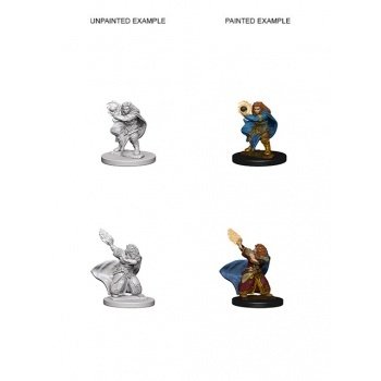 D&D Nolzur's Marvelous Miniatures - Dwarf Female Wizard WZK72621
