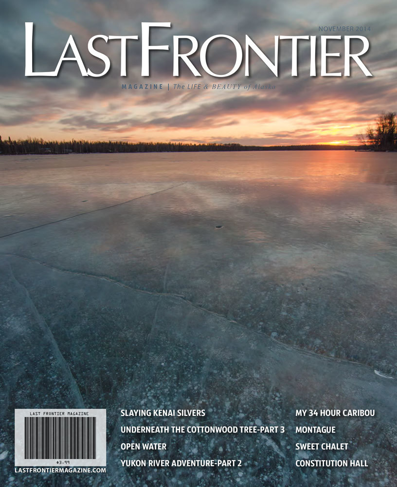 November 2014 Issue 200017